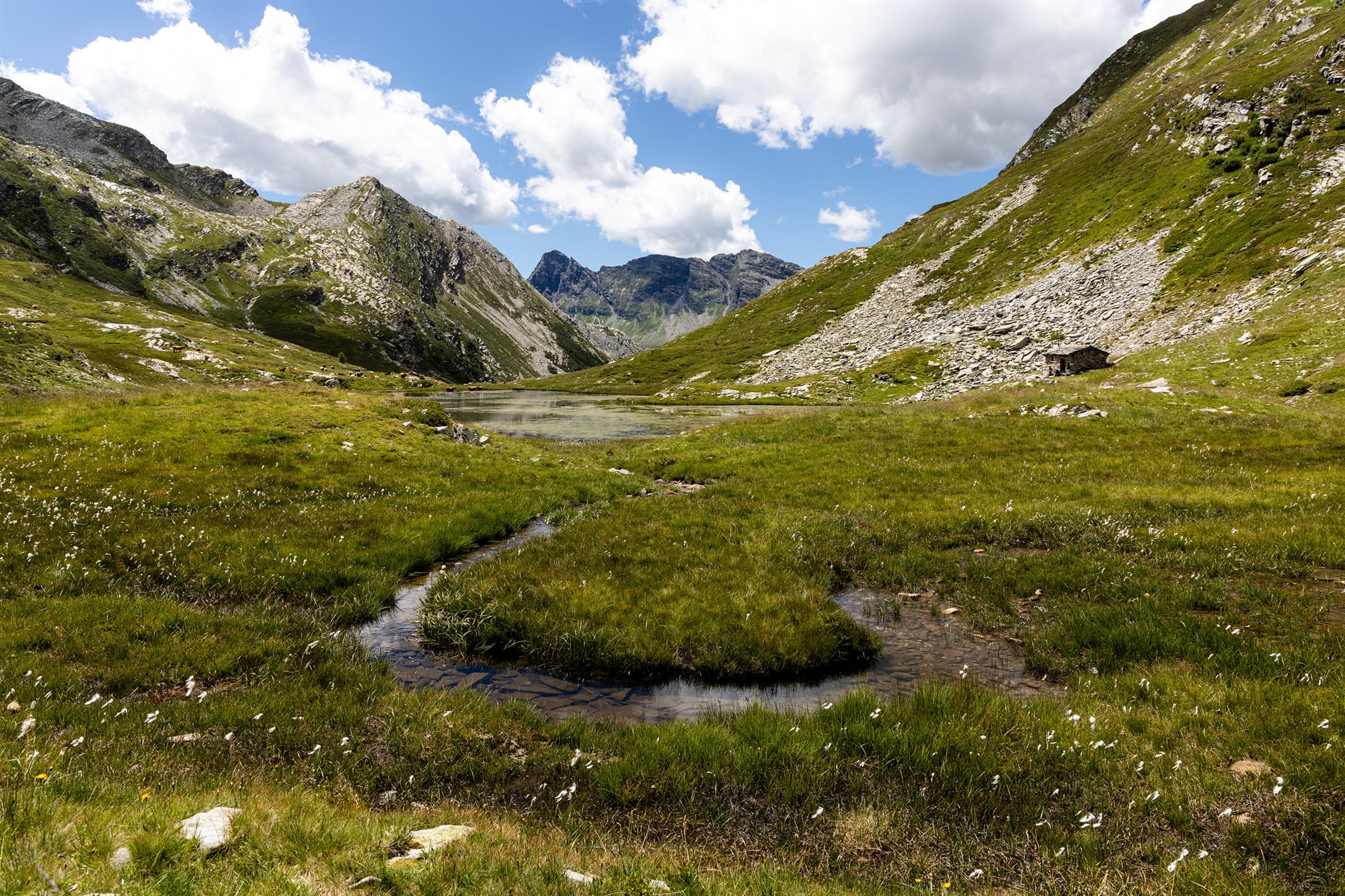 Valle alpina verde con un ruscello che serpeggia verso un laghetto fra le cime